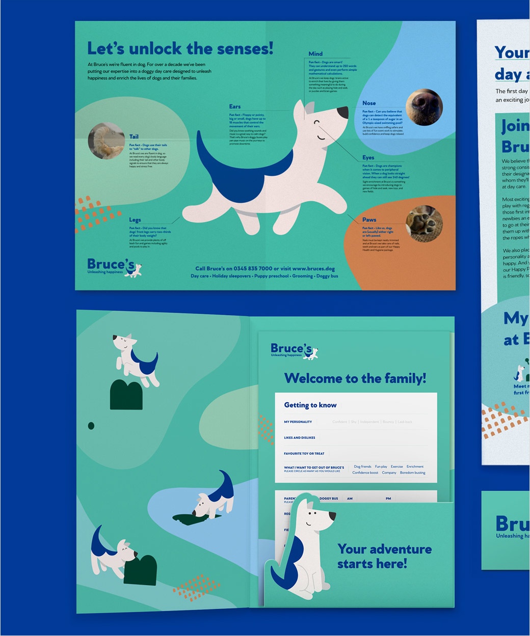 2021 our design agency logo design bruces doggy day care 15